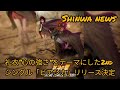 礼衣&ldquo;心の強さ&rdquo;をテーマにした2ndシングル「ビアンカ」リリース決定