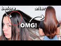 HOW TO WASH OILY HAIR STEP BY STEP | Oily Hair Washing Hacks