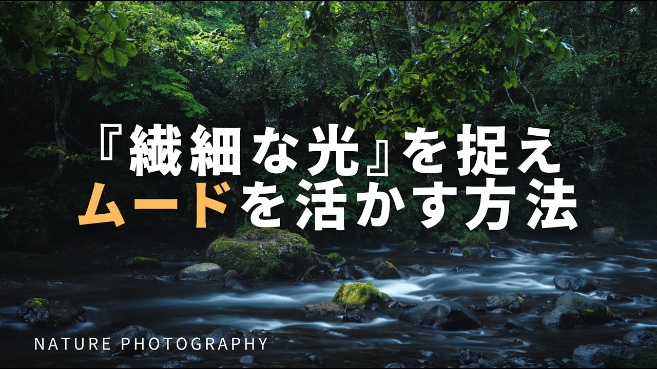 【自然写真】繊細な光を捉えムードを活かす私の表現方法