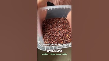 Food Innovation by @VoyageFoods Video credits to @GoingGreenOfficial