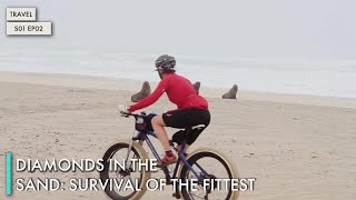 Diamonds in the Sand: Survival of the Fittest