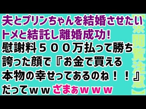 【※閲覧注意 修羅場 浮気 復讐 スカッとする話】夫とプリンちゃんを結婚させたいトメと結託し離婚成功！慰謝料５００万払って勝ち誇った顔で『お金で買える本物の幸せってあるのね！！』だってｗｗざまぁｗｗｗ