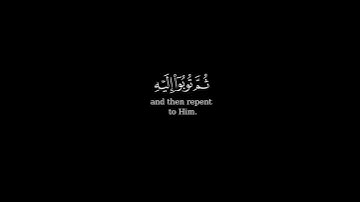 كرومة شاشة سوداء بصوت #عبيدة_موفق#سورة_هود