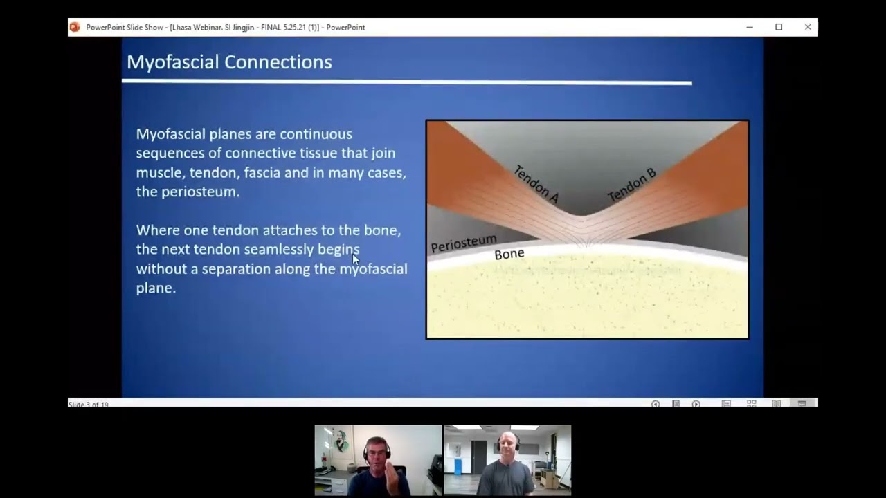 Exploring the Small Intestine Sinew Channel