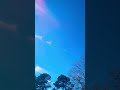 In the Pines Grateful Dead (Previously unreleased live from 1966) #gratefuldead #clouds #timelapse