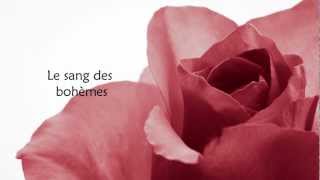 Marie-Mai -C.o.b.r.a. With Lyrics