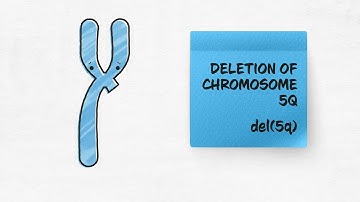 MDS with isolated del(5q) – MDS World Awareness Day | MDS Alliance