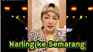 Download Lagu NUNUNG ALVI NARLING KE SEMARANG . MP3