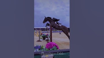 Show Jumping!🤩♥️ #horses #shorts #showjumping #trending #horsejumping #horseriding