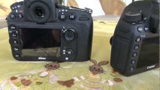 Vergleich - Nikon D800 vs. Canon 5D Mark III - Warum ein Wechsel Sinn macht