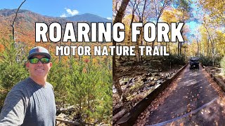Fall Drive Through Roaring Fork Motor Nature Trail | Black Bears, Short Hikes & Ely’s Mill
