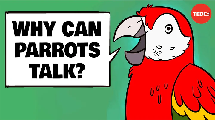 Why can parrots talk? - Grace Smith-Vidaurre and Tim Wright - DayDayNews