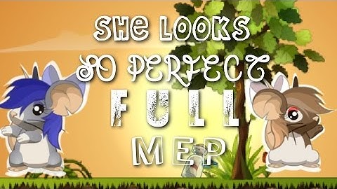 She Looks So Perfect / FULL TRANSFORMICE MEP