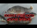 ловля КРУПНОГО окуня зимой.зимняя рыбалка на мормышку