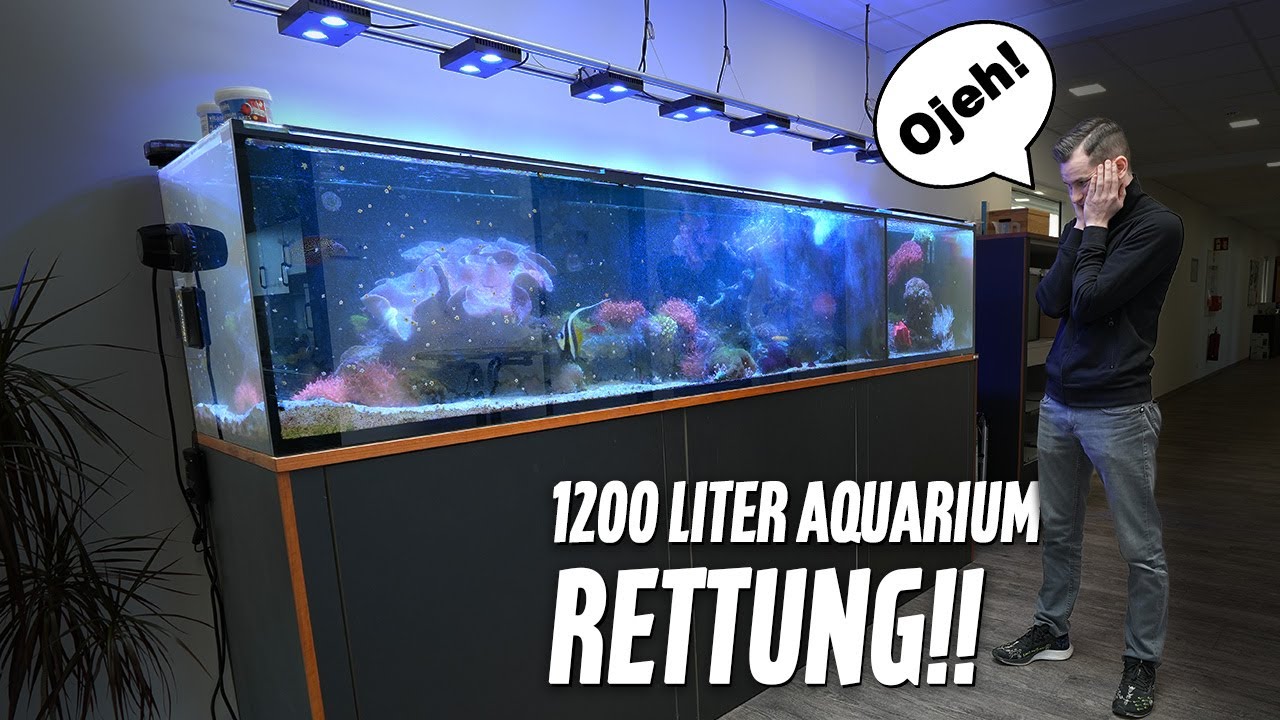 1200 Liter Meerwasseraquarium RETTUNG!! - Teil 1 I PlanktonPlus Aquaristik