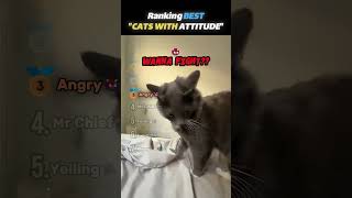 Ranking Best Cats With Attitude Core Moments!😸👹