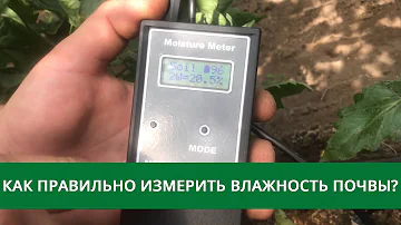 Как правильно измерить влажность почвы?