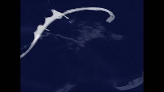 FremantleMedia logo PAL Toned 2002 12/23/25