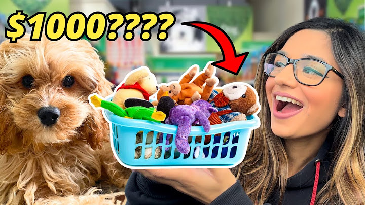 BUYING EVERYTHING MY PUPPY TOUCHES