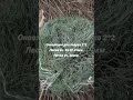 Рыболовный паук 2*2 в ассортименте