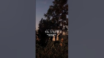 القارئ عبدالرحمن مسعد{سورة الاخلاص}🍀🍀🍀🤍🎧