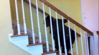 A Day In The Life In 2Min Teaser