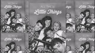 (Lyrics) Little Things by One Direction 【Terjemah Bahasa Indonesia】