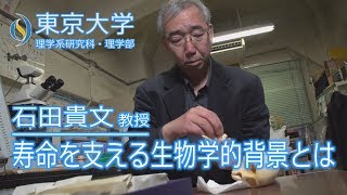 石田貴文 生物科学専攻 教授 『寿命を支える生物学的背景とは』