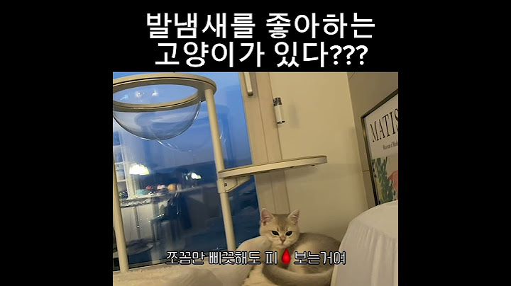 발냄시 좀 맡아보자 #고양이 #cat #cute #고양이일상 #고양이브이로그 #고양이영상 #고양이집사 #catshorts #catlover #cats