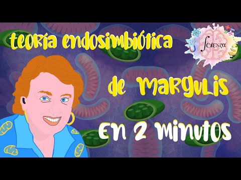 Video: ¿Cuál es el ejemplo de endosimbiosis?