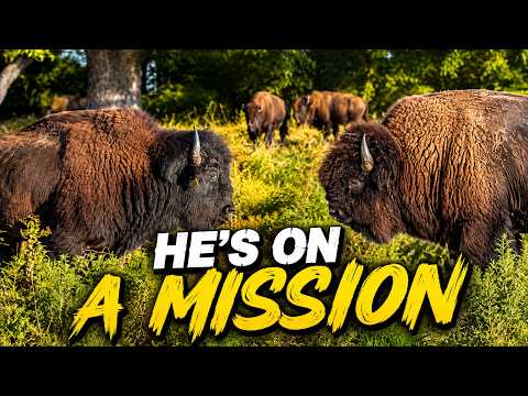 Things Are Getting HEATED in the Big Joe Herd!