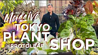 Plant🪴 Shop Walkthrough in Japan 🇯🇵  With Knowledgable Guide | Plant PRICES Unveiled!