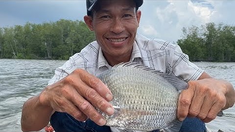 HÔM NAY GIĂNG CÂU ĐƯỢC CON CÁ TRÁP TO QUÁ CẢ NHÀ ƠI