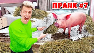 СДЕЛАЛ СВИНАРНИК В КВАРТИРЕ ДРУГА **месяц пранков**