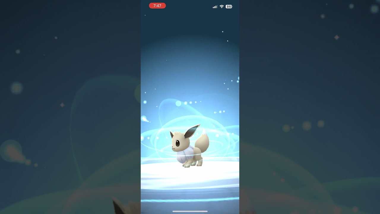 Nighttime Evolution: Shiny Eevee Becomes a Stunning Shiny Umbreon 🌙💫 