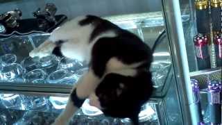 2012-03-22_13-28-03_16.3gp