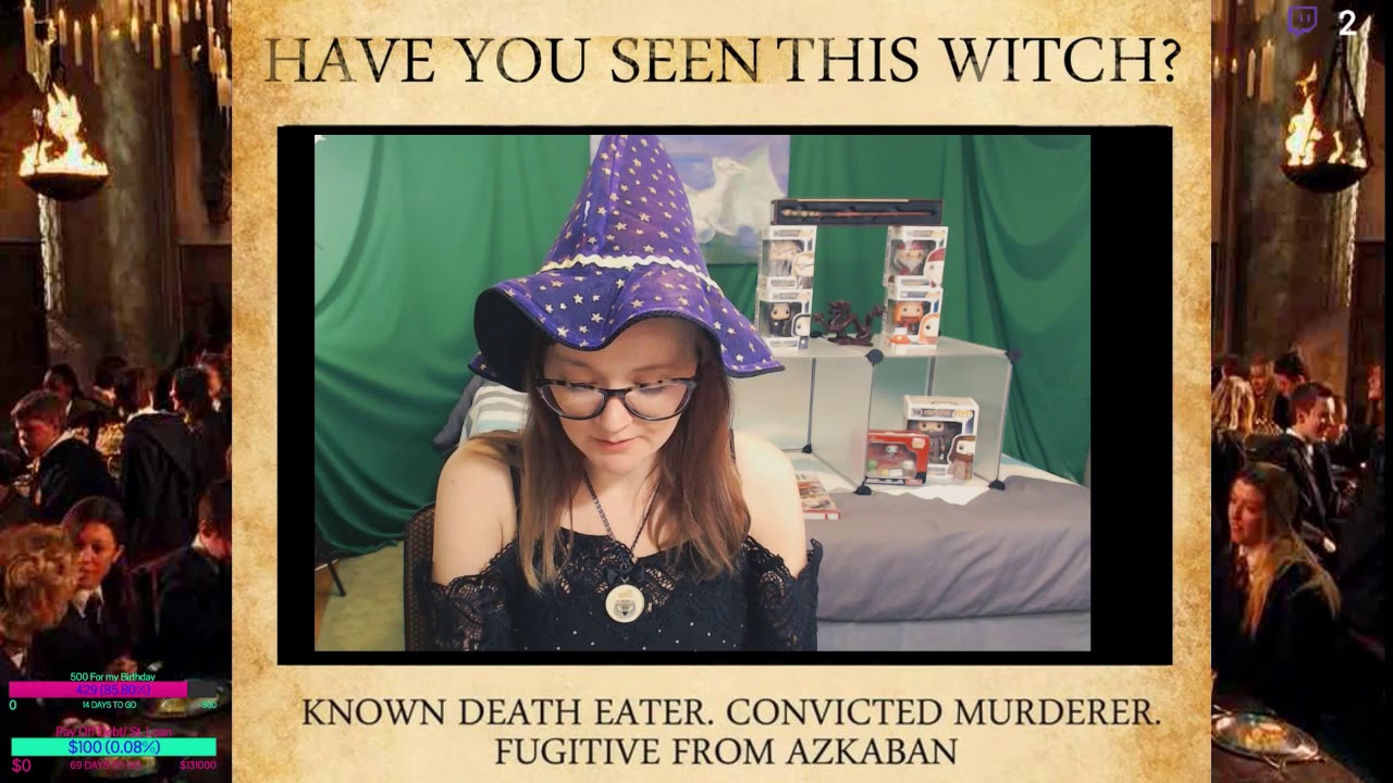 Harry Potter And The Chamber Of Secrets Chapter 11 Summary