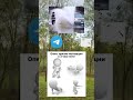 мем Memes мемы юмор мемасики Joke Skopa мем Memes мемы юмор мемасики Joke Skopa