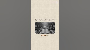قران الكريم راحة نفسية ممكن شتراك #القارئ #اكسبلور #المصحف #سورة #لايك #الرحمن #الاية