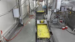 Dondurulmuş Patates Üretim Tesisi - مصنع إنتاج البطاطس المجمدة - Frozen Potato Production Plant
