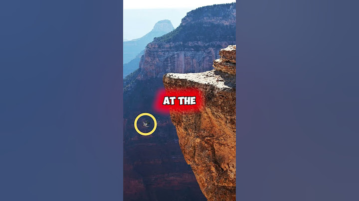 A 35-year-old man FELL from the edge of GRAND CANYON #shorts