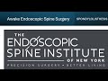 Albert Telfeian, M.D., Ph.D., Awake, Endoscopic Spine Surgery & Spondylolisthesis
