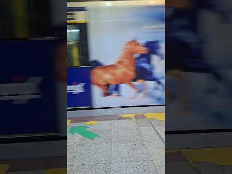 تهران مترو خیام با رفیقا به سوی شاه عبدالله العظیم الحسنی
