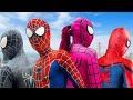 Spiderman international spiderman 5  superheros story by thu media