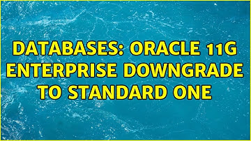 Databases: Oracle 11g Enterprise downgrade to Standard One