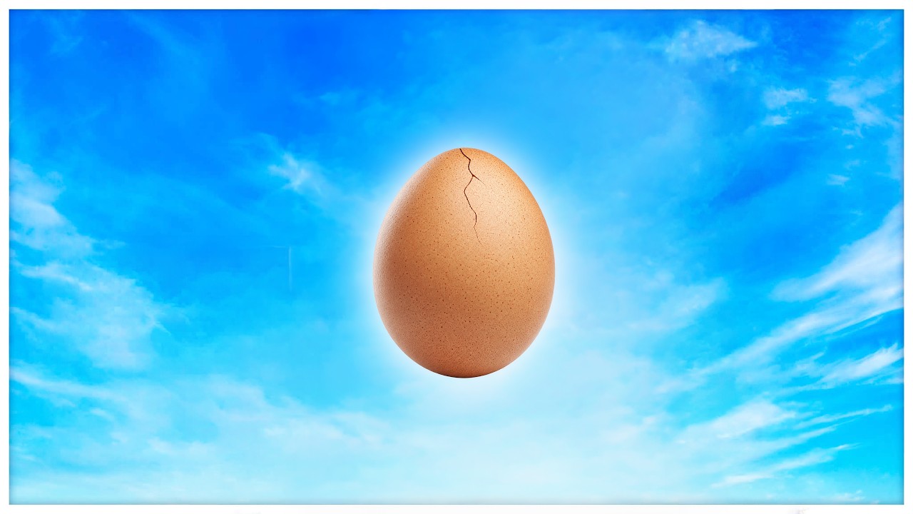 The Egg Incident