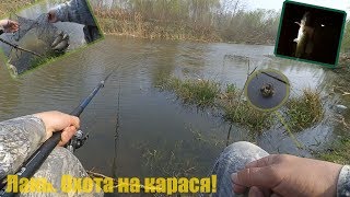 Ловля карася на реке Лань! Словил щуку руками!