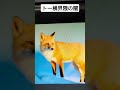 トー横界隈の闇がヤバすぎた… #shorts