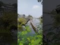 spot liar di ibu kota jkarta