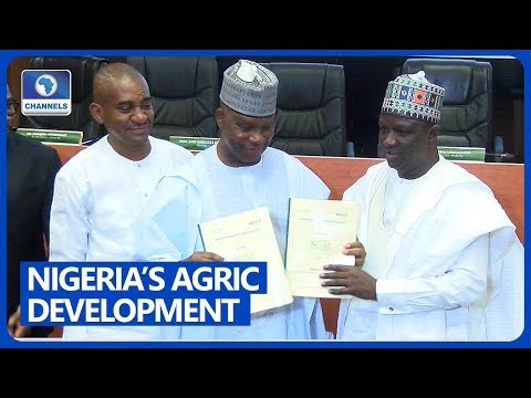 NIRSAL, NIMET Partner To Enhance Nigeria's Agricultural Production